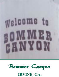 Bommer Canyon Wedding Venue In Irvine California