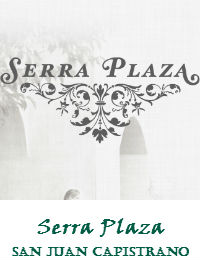 Serra Plaza Wedding Ceremony And Reception In San Juan Capistrano California