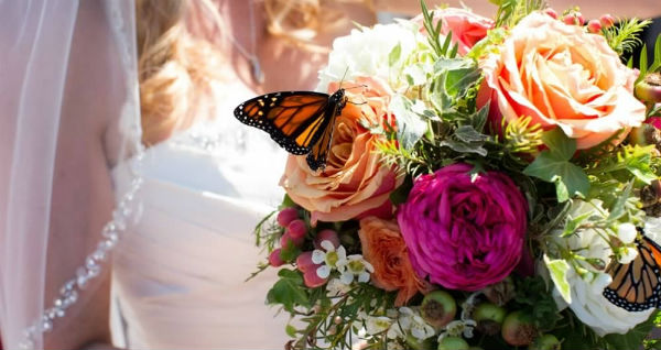 http://www.ocwedding.org Orange County Wedding Planner Maria Lindsay Weddings & Events