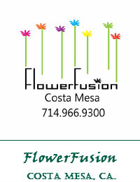 FlowerFusion Wedding Flowers In Costa Mesa California