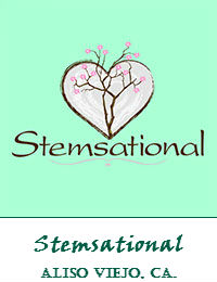 Stemsational Aliso Viejo Florist