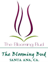 The Blooming Bud Wedding Flowers In Santa Ana California