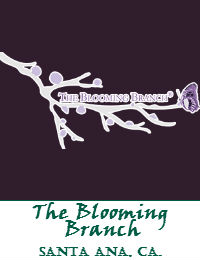 The Blooming Branch Wedding Flowers In Santa Ana California