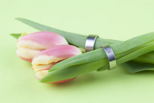 Titanium Wedding Bands On Flowers