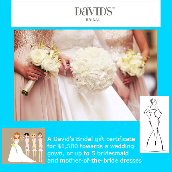 Davids Bridal Fifteen Hundred Dollar Credit Ongoing Monthly Sweepstakes