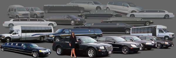 Continental Limousine In Westminster California