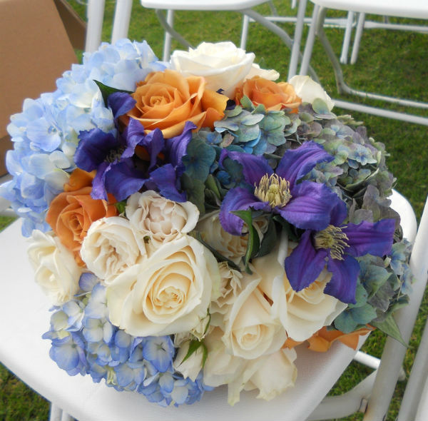 Hydrangea Bleu In Mission Viejo Ca