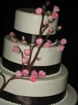 Cinderella Cakes Wedding Cakes In Laguna Niguel Ca