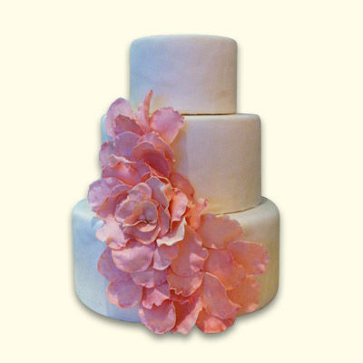 Wonderland Bakery Wedding Cakes In Newport Beach